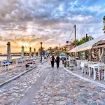 فيلة Gaia Navarino