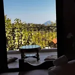 Gaia Navarino *
