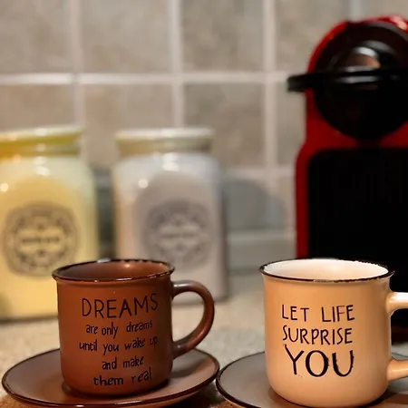 Gaia Navarino Korifásion