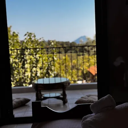 Gaia Navarino *