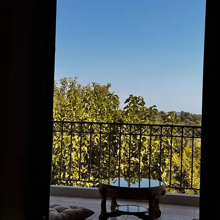 Gaia Navarino