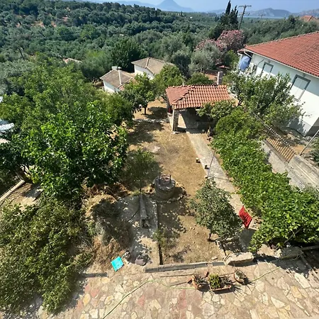 Gaia Navarino * Korifásion