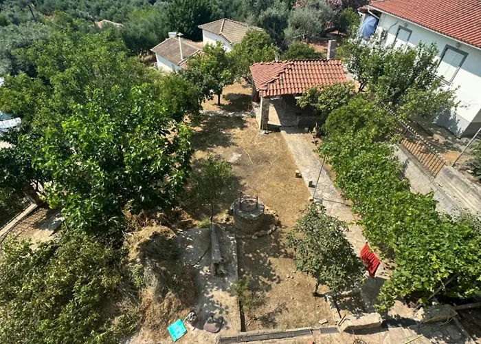 Gaia Navarino * Korifásion